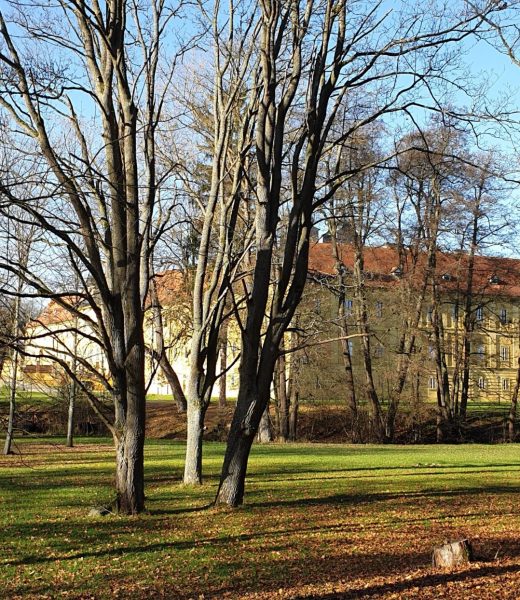 Klášter premonstrátů Teplá