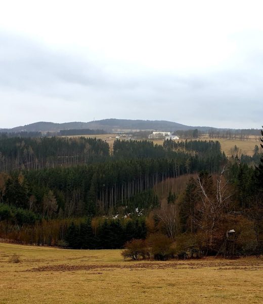 Dolské domky